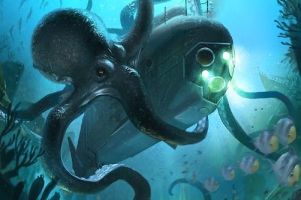 Как вывести деньги с kraken