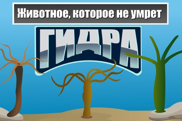 Зайти на кракен через браузер