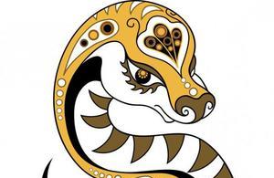 Змея по восточному гороскопу — характеристика знака Совместимость рожденных в год змеи